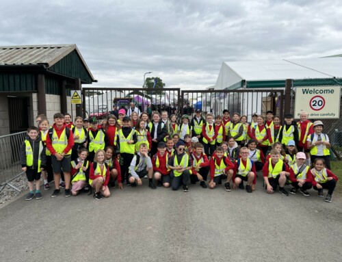 Year 4 Great Yorkshire Show Trip July 2023